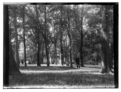 Vondelpark, foto 77 Jacob Olie (max res)