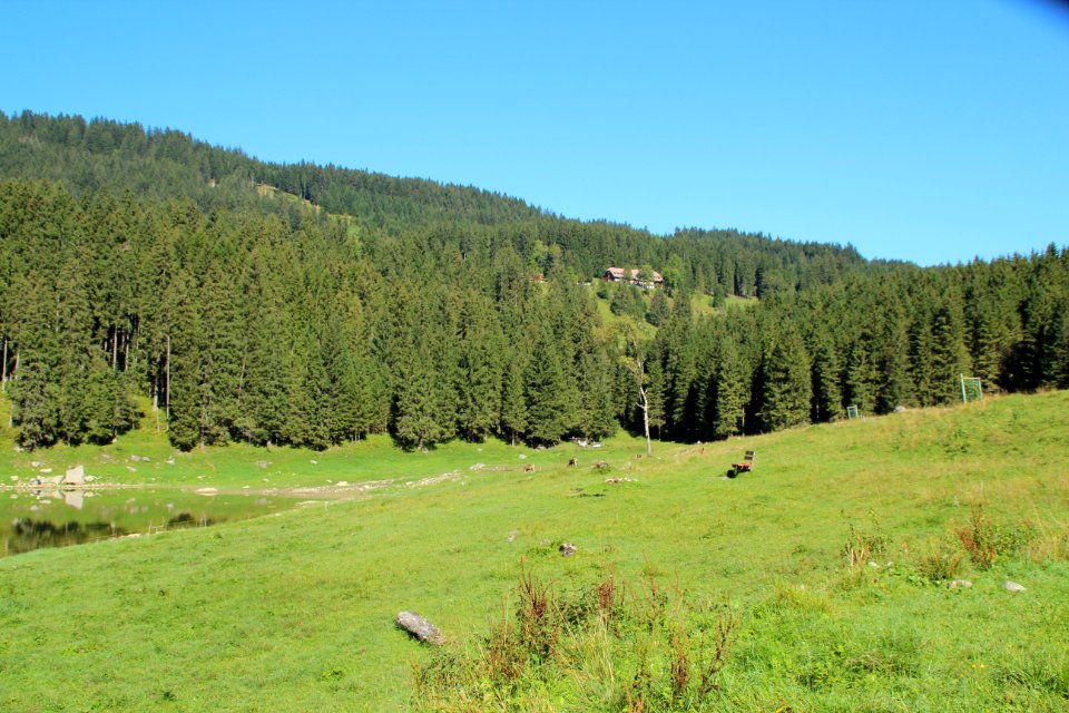 Voralpsee3