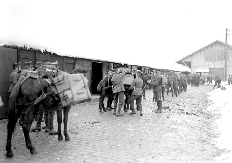 Vorbereiten der Basttiere für den Verlad auf die Eisenbahn - CH-BAR - 3239427