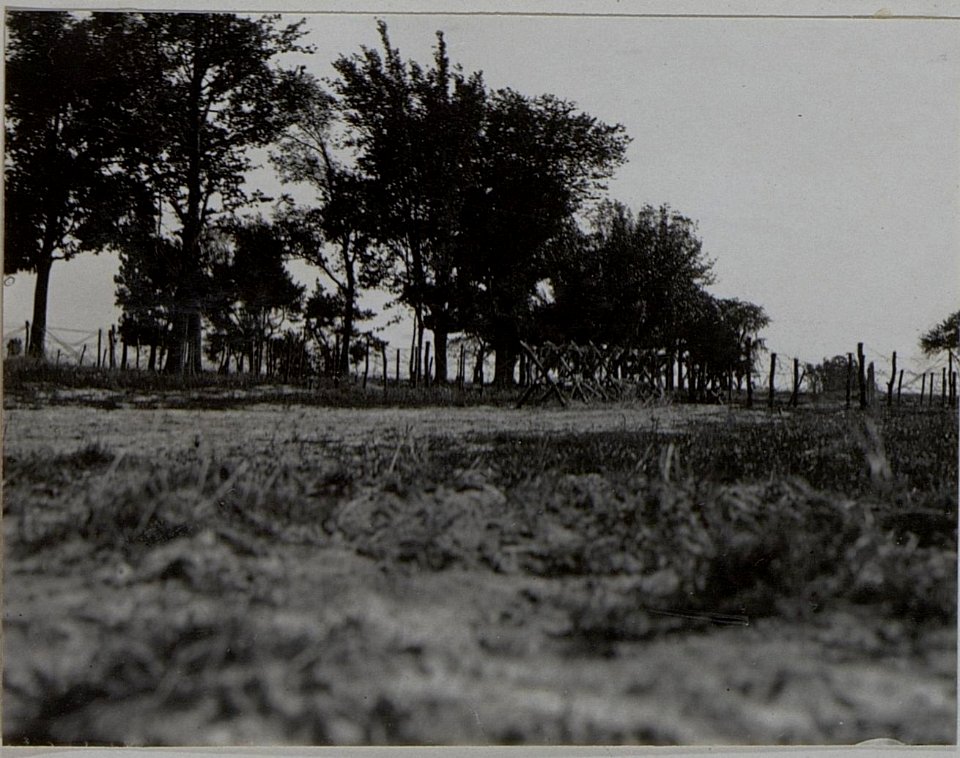 Vorterrain der 37.Honvedinfanteriedivision bei Cholopicz (BildID 15456577)