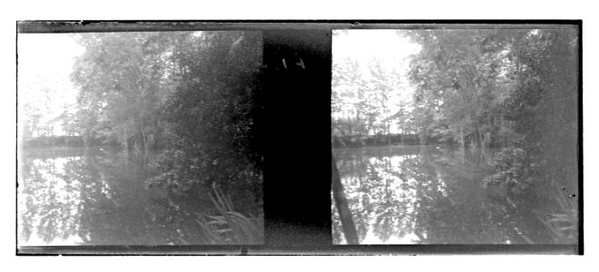Vora d’un riu flanquejada d’arbres