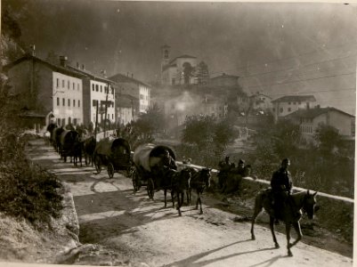 Vorgehender Train bei Chiusaforte. (BildID 15506849)