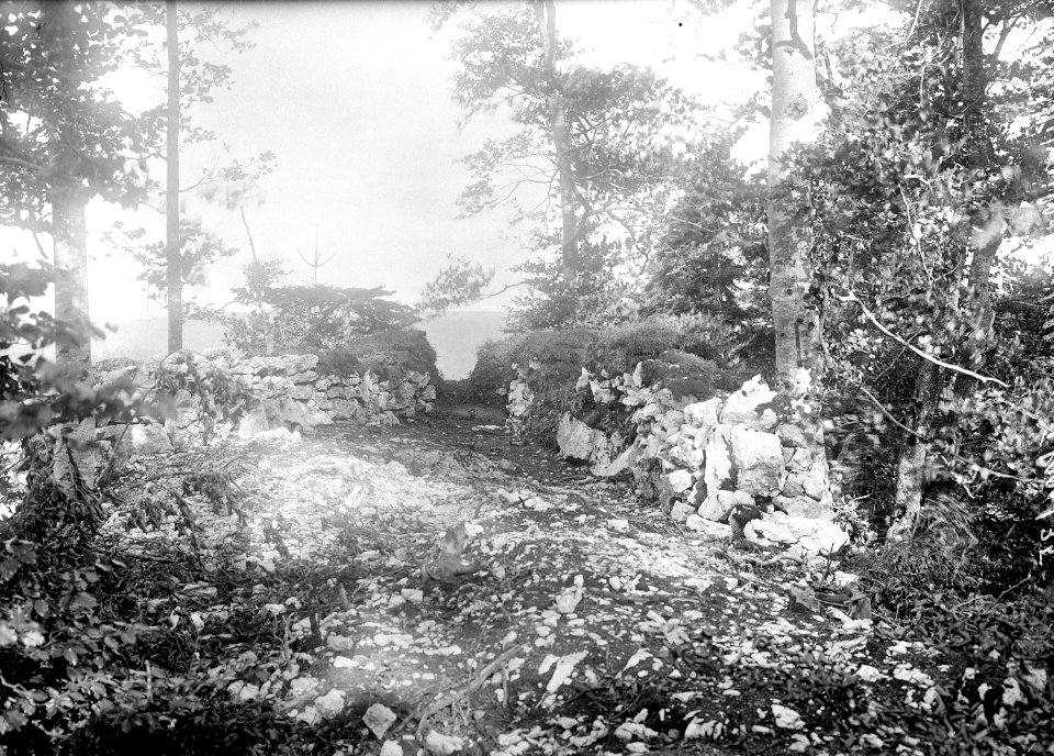 Vorbereitete Mitrailleureailleurstellung - CH-BAR - 3237554