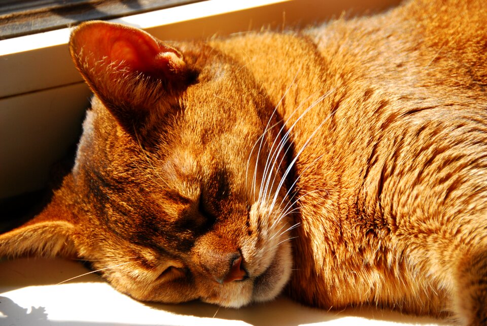 Close up face sleep