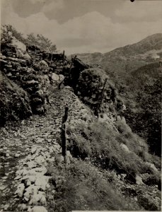 Vorgeschobene Posten am JAVORCEK. Aufgenommen am 27. Juli 1916. (BildID 15478738)