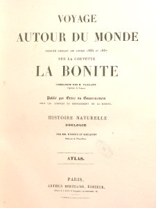 Voyage de la Bonite