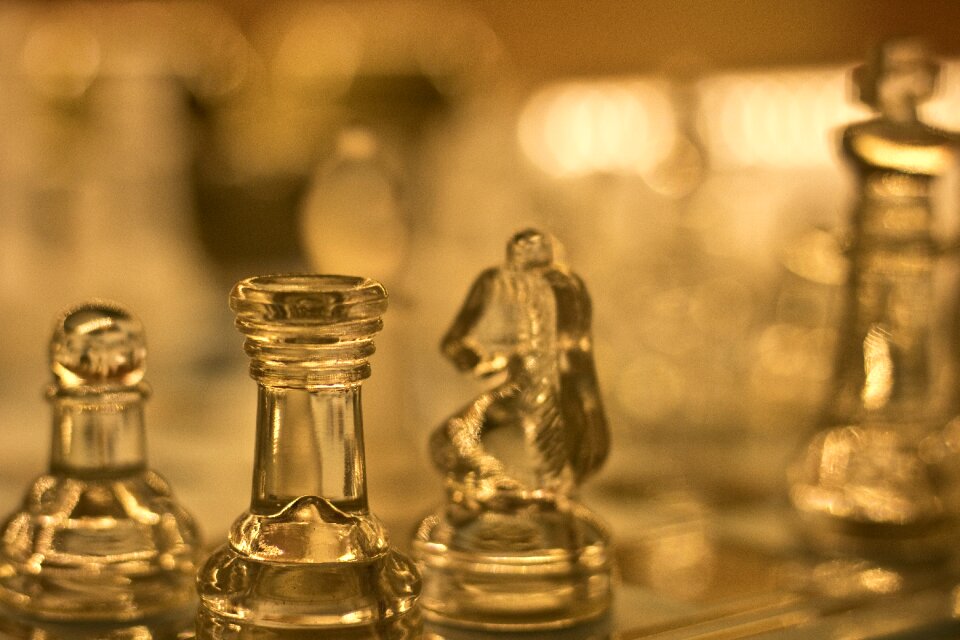 Figures chess pieces springer