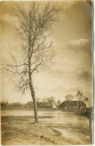 Vostraŭ, Myšanka. Востраў, Мышанка (1915-18)