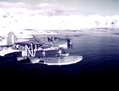 Vought OS2U Kingfisher of VS-56 in flight over Massacre Bay Area, Attu, Alaska (USA), on 16 November 1943 (80-G-K-1536)