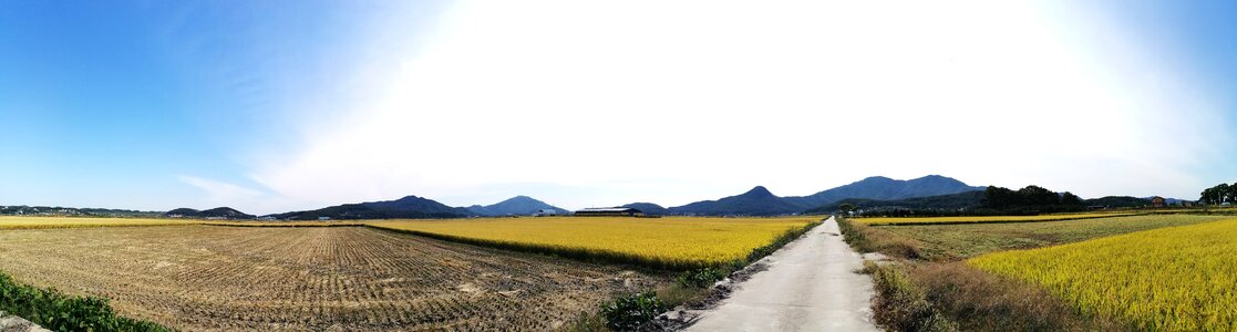 Republic of korea korea rice paddies photo