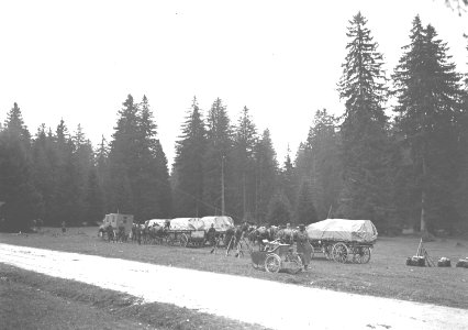 Wagen von Telegraphen Pionieren und einem Scheinwerferdetachement - CH-BAR - 3240019