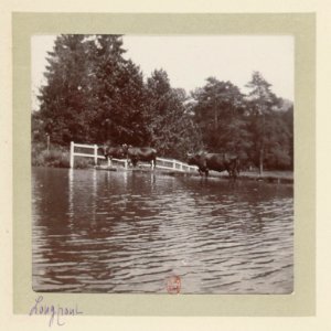 Voyages d'une famille parisienne Avril 1897 - Longpont - p23-03