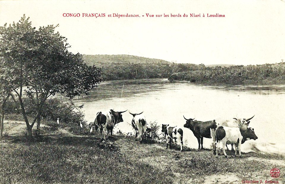 Vue sur les bords du Niari à Loudima-Congo Français