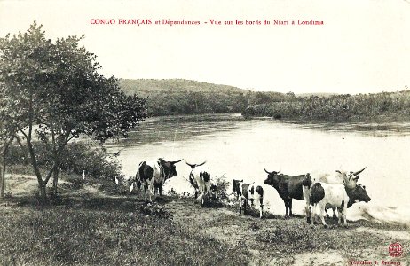 Vue sur les bords du Niari à Loudima-Congo Français