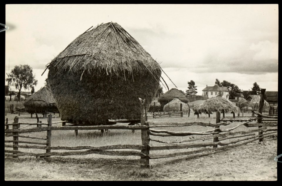 Vujvičy. Вуйвічы (H. Poddębski, 1936) (3)