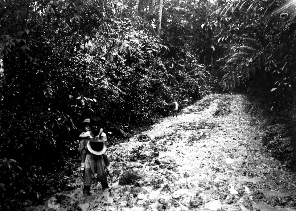 Vägen mellan Goeroepahi och Modajag. Sulawesi, Kabupaten Bolaang Mongondow, Menado. Indonesien - SMVK - 2043D