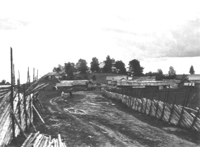 Vuole1911