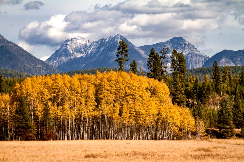 Vulture Peak from Big Prairie