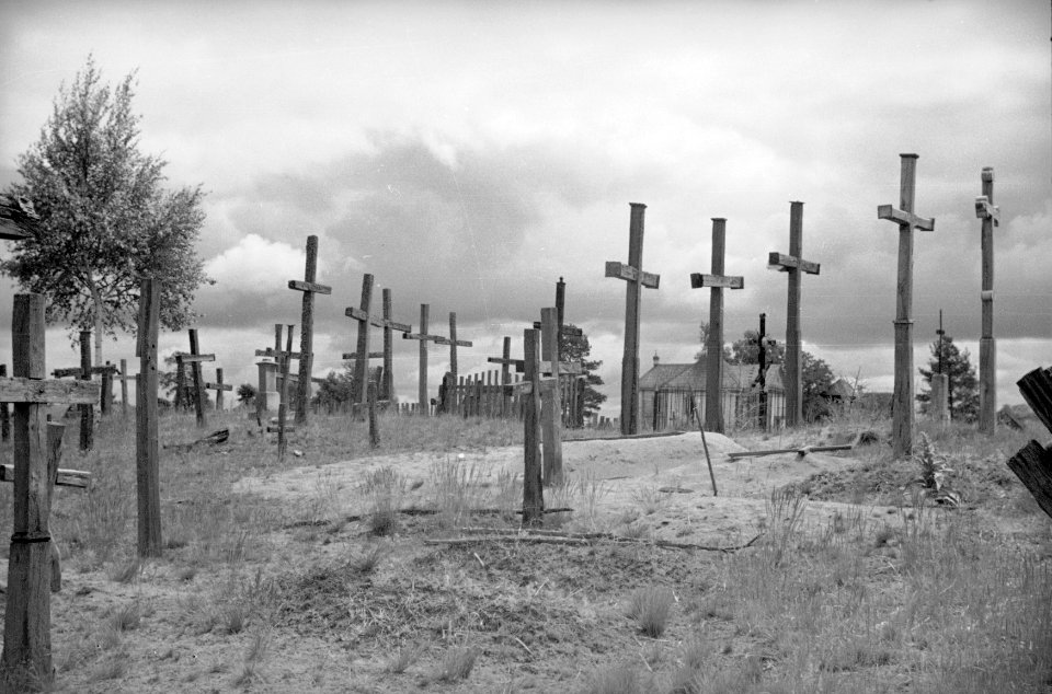 Vujvičy. Вуйвічы (H. Poddębski, 1936)