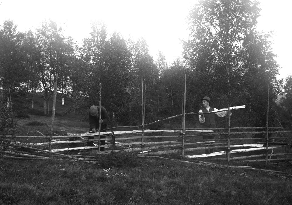 Värmland, Jösse hd, Mangskog sn, Bjurbäcken. Gärdsgårsdsgärdning - Nordiska museet - NMA.0079013