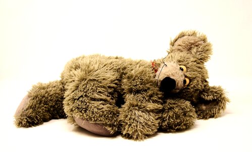 Toys teddy bear cloth figure photo