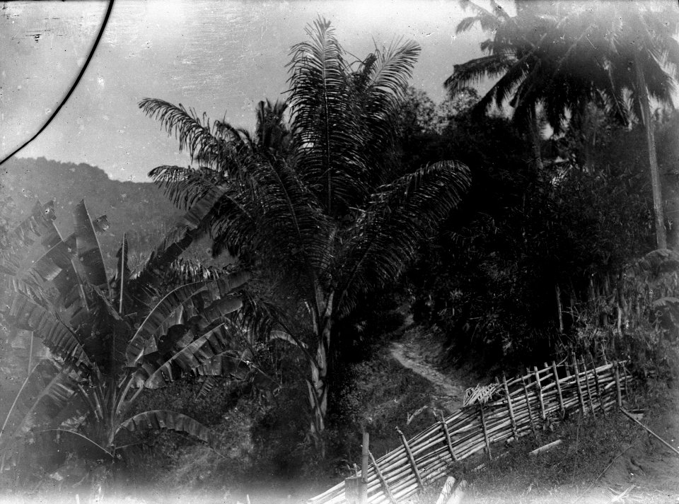 Vägen utanför pasanggrahan. Kulawi, Sulawesi. Indonesien - SMVK - 022179