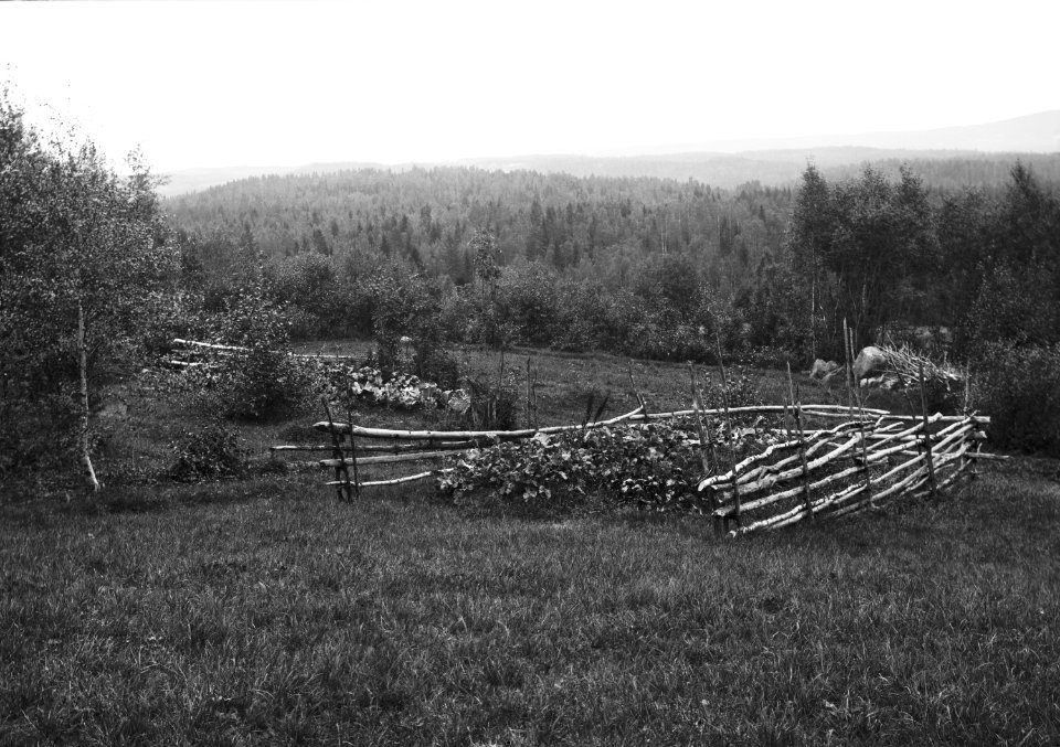Värmländskt landskap med kålland (kålsäng) inhägnad av gärdesgård - Nordiska museet - NMA.0065105