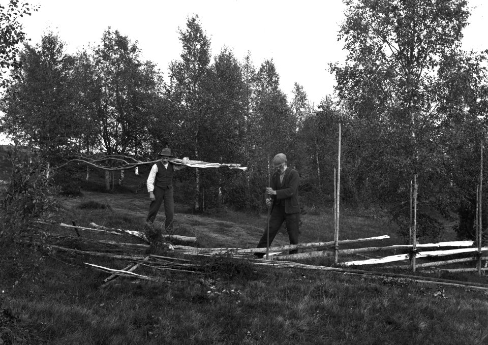 Värmland, Jösse hd, Mangskog sn, Bjurbäcken. Gärdsgårsdsgärdning - Nordiska museet - NMA.0079012