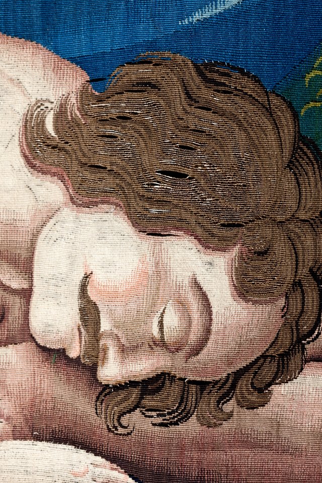 Vävd tapet föreställande Evas skapelse, i en serie på åtta med scener ur bibliska historien - Skoklosters slott - 93702