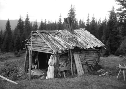 Värmland. Östmark socken, Övra Busken, från nordost. Belägen ett stycke norr om Röjdåfors - Nordiska museet - NMA.0078695
