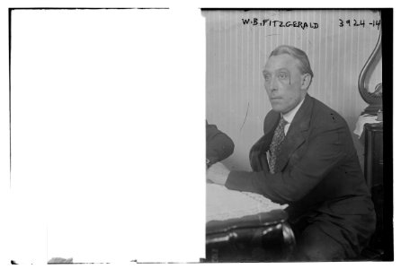 W.B. Fitzgerald LCCN2014702245