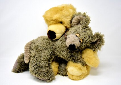 Stuffed animal toys teddy bear photo