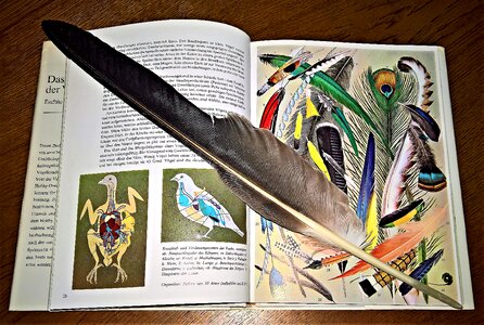 Fachbuch feather knowledge