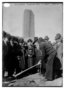 W.H. Hardy planting pine in Japan LCCN2014705985