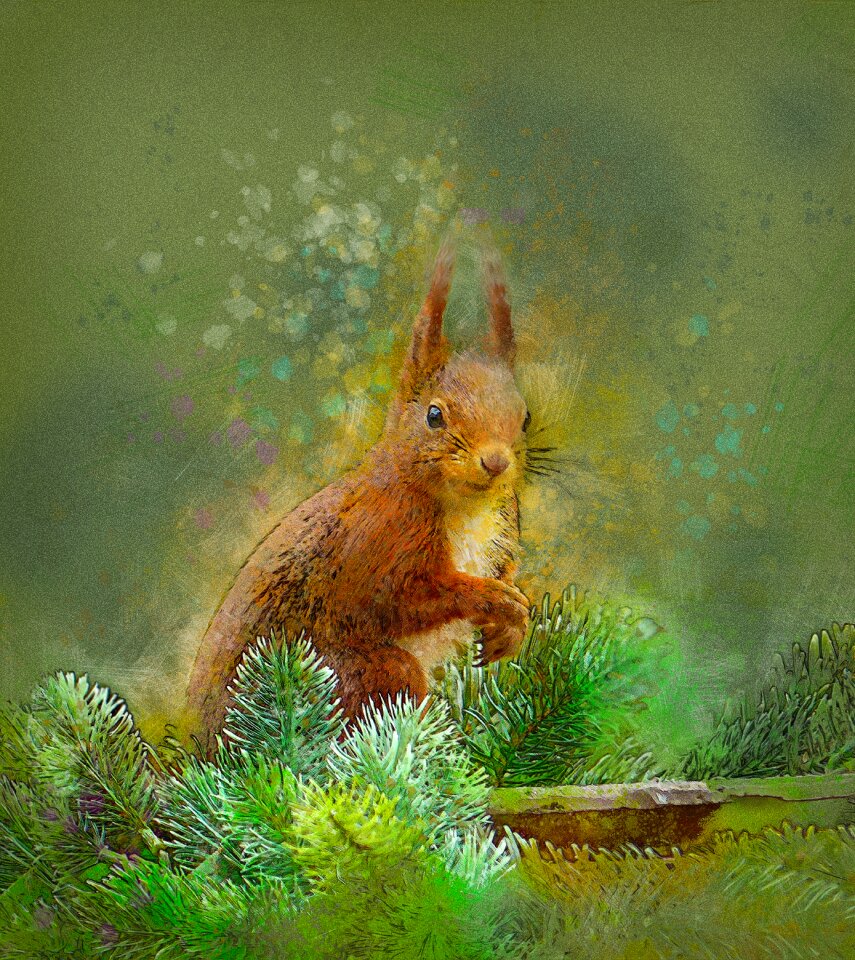 Rodent animal themes wildlife