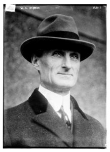 W.G. McAdoo LCCN2014700236