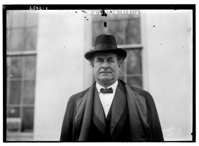 W.J. Bryan LCCN2014691458