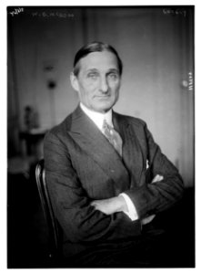 W.G. McAdoo LCCN2014716646