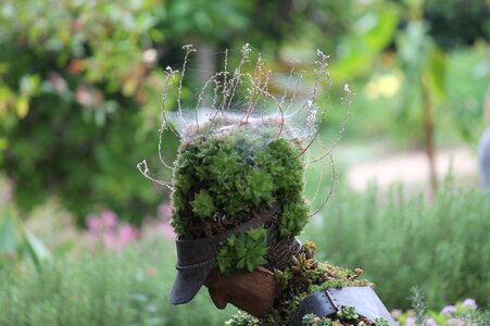 Green garden botanical