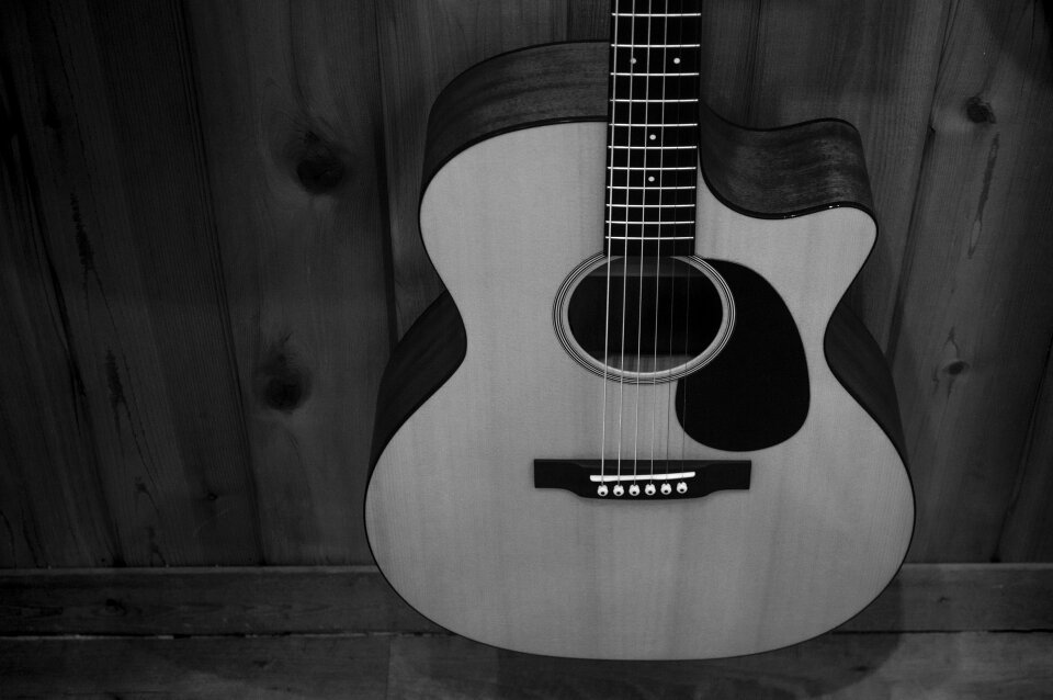 Guitar string shop
