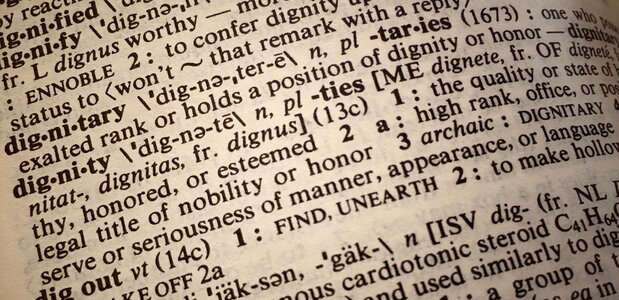Dignity definition dictionary