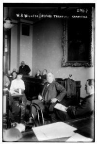 W.R. Willcox before Thompson Committee LCCN2014701287