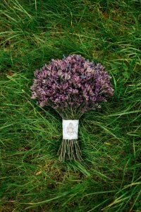 Bouquet lavender wedding