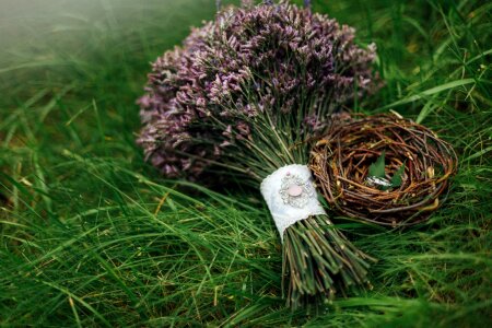 Jack ring lavender