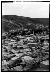 Wady Sha'ib Es-Salt, Amman, etc. Amman. Ancient Rabbath Ammon or Philadelphia LOC matpc.00208