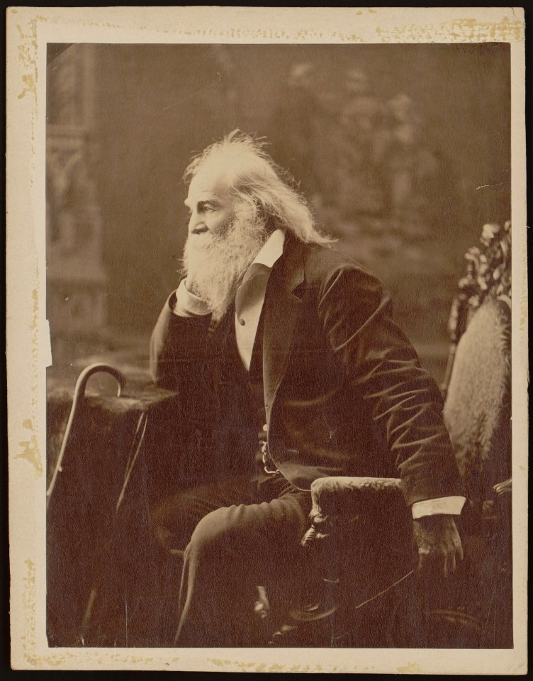 Walt Whitman, three-quarter-length portrait, seated, facing left with elbow and nearby cane resting on a table LCCN2005677458