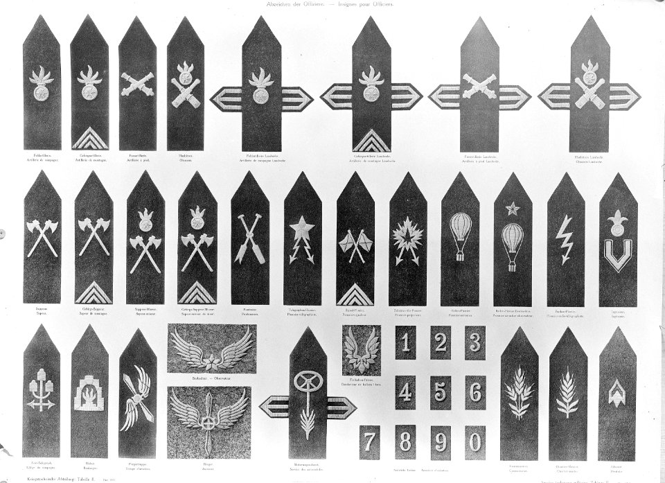 Waffengattungsabzeichen der Schweizer Armee für Offiziere - CH-BAR - 3241634