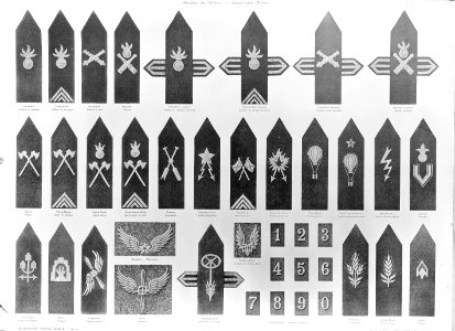 Waffengattungsabzeichen der Schweizer Armee für Offiziere - CH-BAR - 3241634