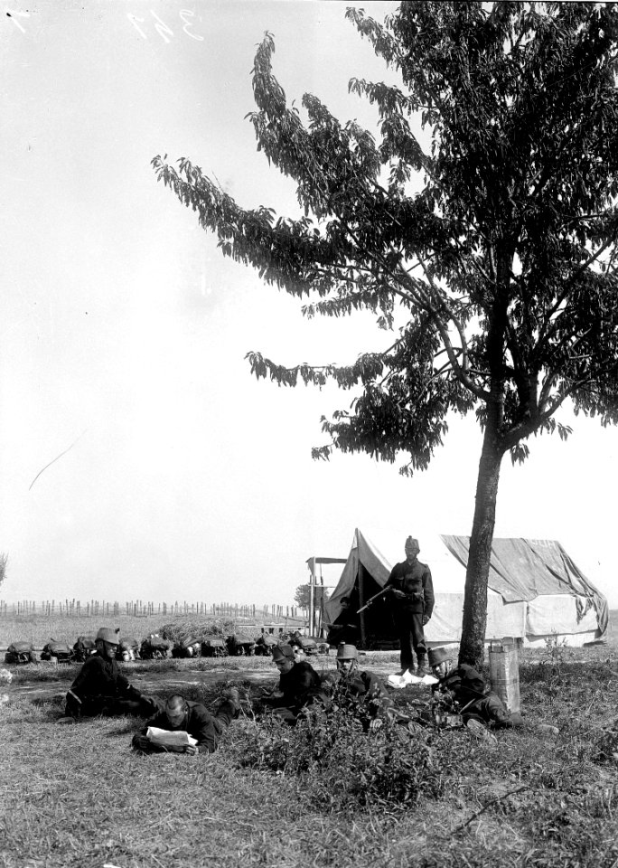 Wachtposten an der Grenze - CH-BAR - 3237392