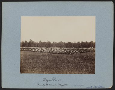 Wagon park, Brandy Station, Va., May 1864 LCCN2013646783
